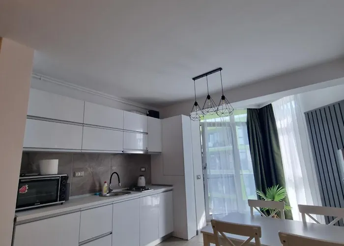 Daire Simina Alz -2 Navodari